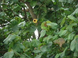 s_P4020130.JPG